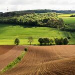 Bail à ferme en Belgique : terres agricoles louées à un exploitant — Pacht in België: verpachte landbouwgrond