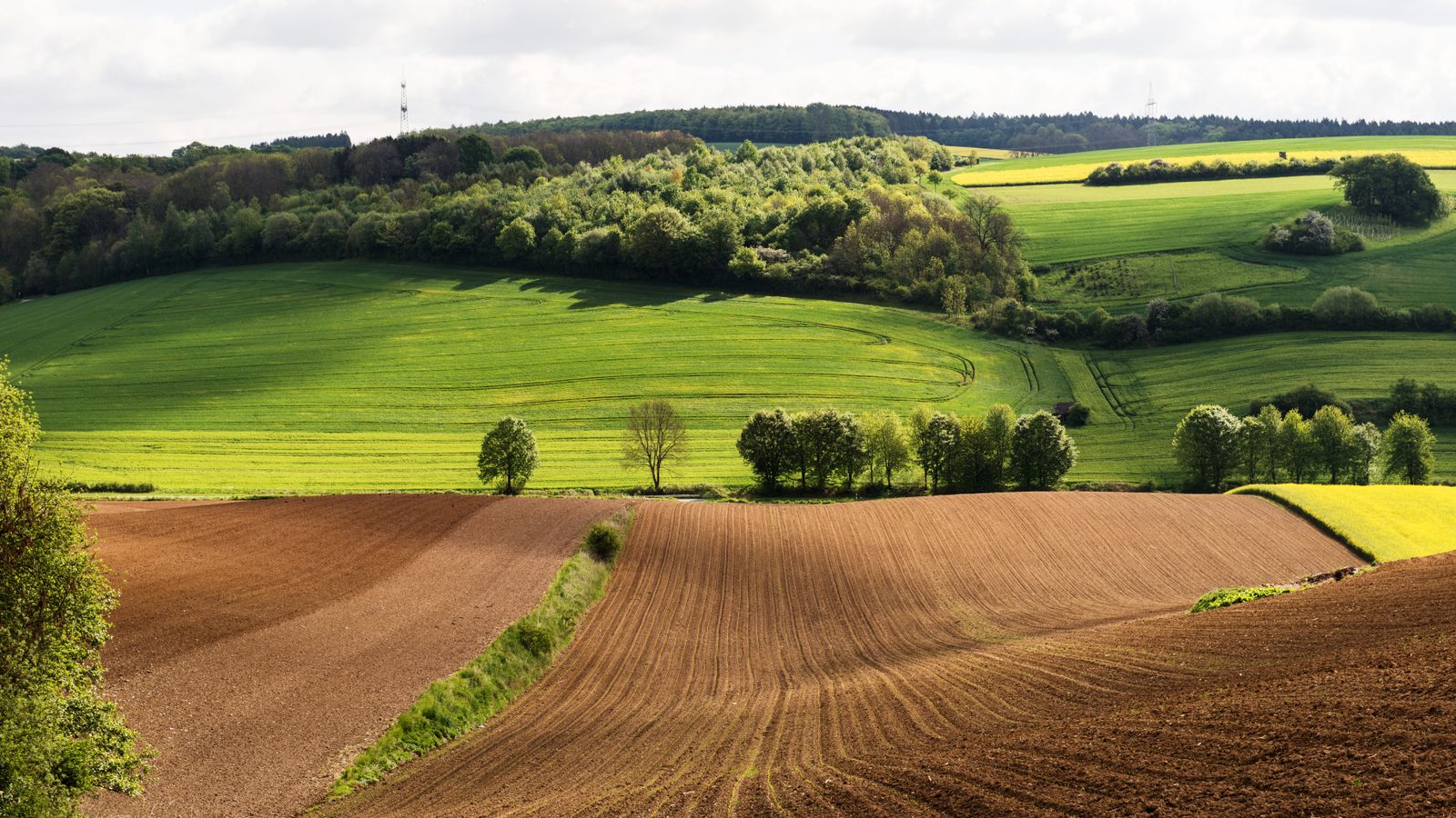 Bail à ferme en Belgique : terres agricoles louées à un exploitant — Pacht in België: verpachte landbouwgrond