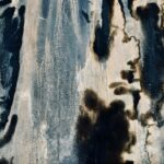 Mérule et humidité sur un mur en Belgique / Huiszwam en vocht op een muur in België